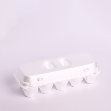 Упаковка для яиц LE - 10 SU С УПОРОМ размеры: 252*107*75